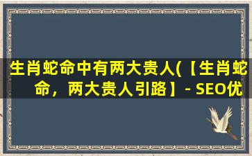 生肖蛇命中有两大贵人(【生肖蛇命，两大贵人引路】- SEO优化)